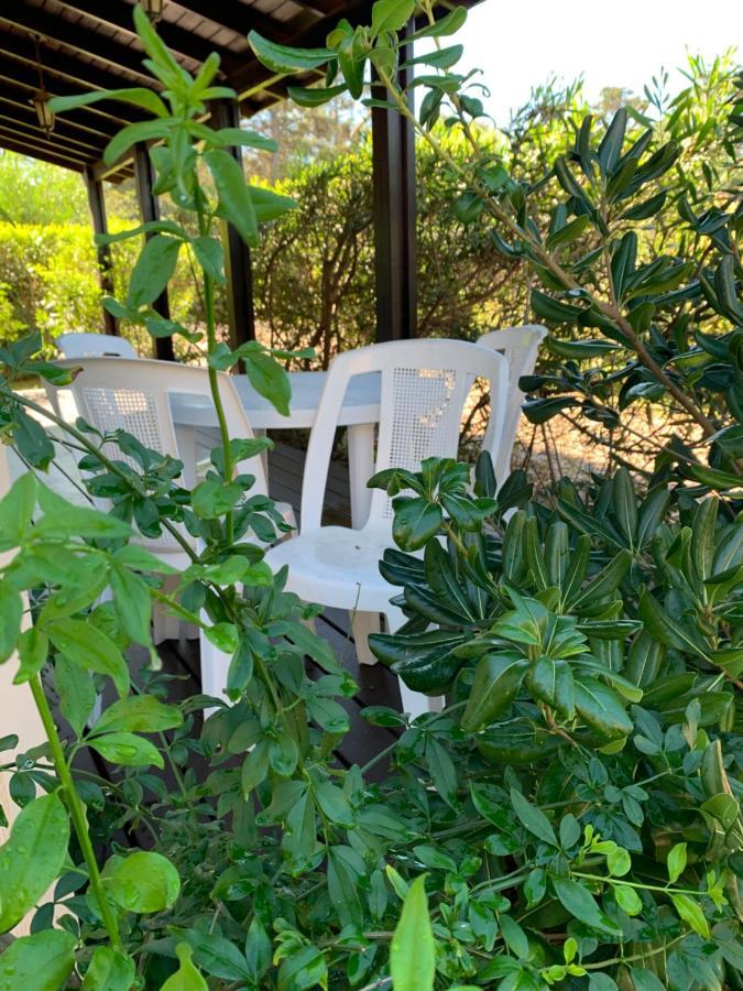 Cabanas Del Este Sauce de Portezuelo Exterior foto